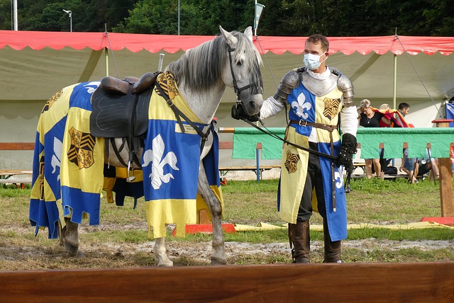 竞争激烈的 竞争激烈的