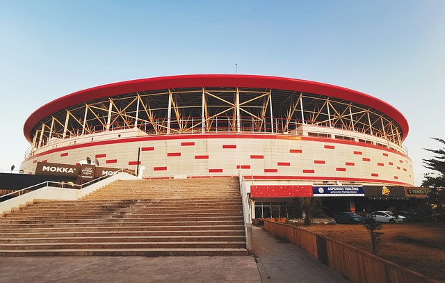 精彩的表演 精彩的表演