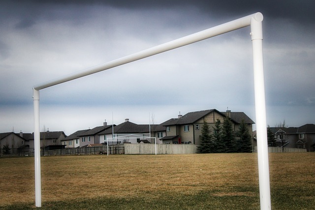 这种创新能 这种创新能