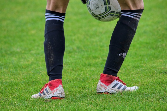 其他一切都 其他一切都