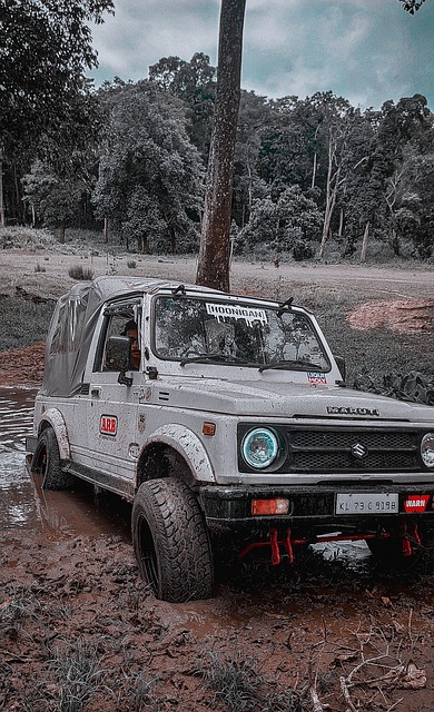 个人情结而 个人情结而